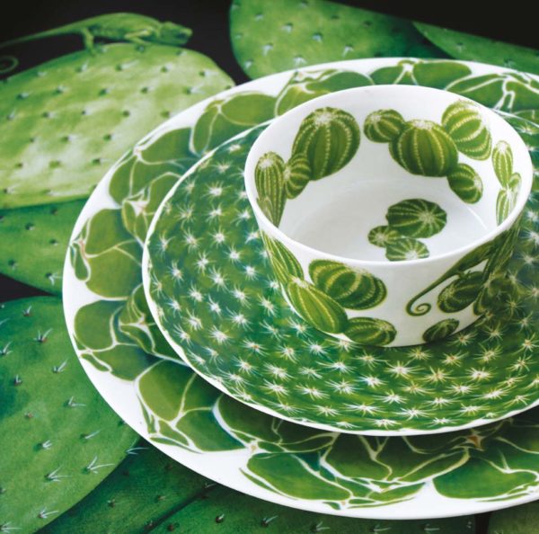 Kolekcia Cactus